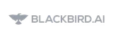 Blackbird.AI